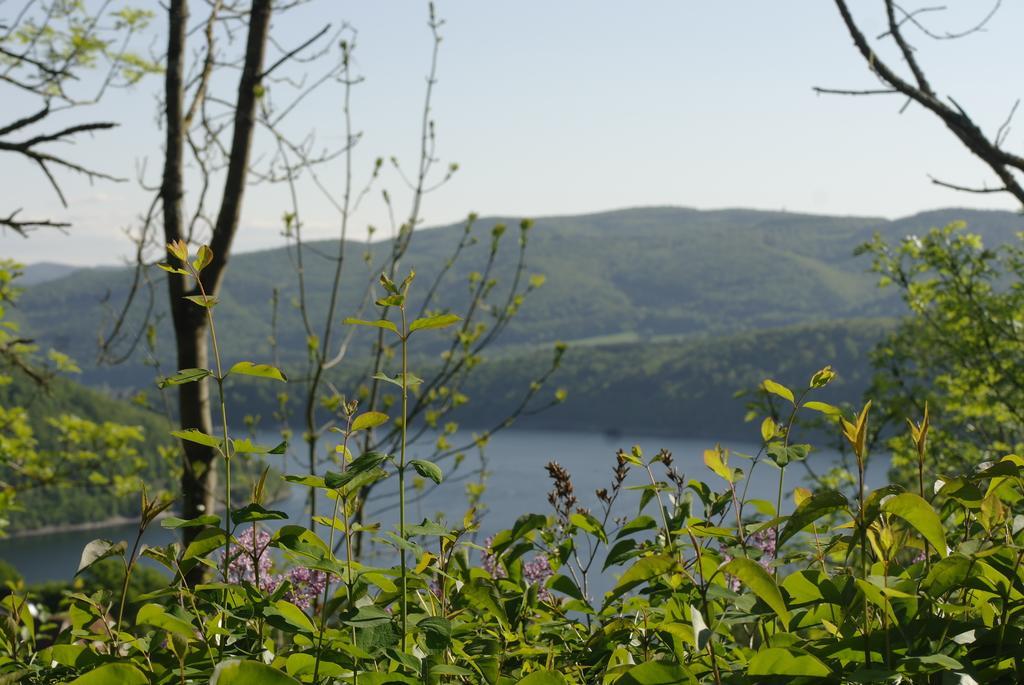 Haus Blick Am Edersee Вальдек Номер фото